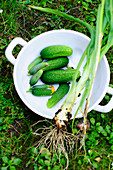 Mini cucumbers with spring onions