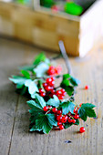 Frische rote Johannisbeeren mit Blättern auf Holztisch