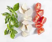 Basil, Mozzarella and tomato wedges (shaped as Italian Flag)