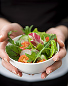 Hands holding a small white ball with mixed salad