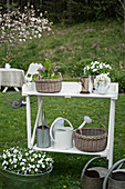 Baskets, water cans and plants on white potting table in garden
