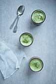 Matcha Pudding (Japan)