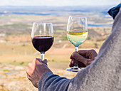 Mann hält Gläser mit portugiesischem Rotwein und Weißwein (Alentejo, Portugal)