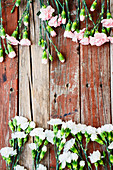 White and pink carnations on rustic wooden surface (top view)
