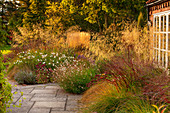 Gräser im Herbst-Garten Pennisetum 'Hameln', Stipa gigantea, Panicum virgatum 'Squaw'