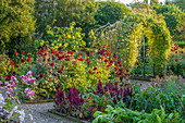 Garten mit Dahlien, Fuchsschwanz, Laubengang und Gemüse