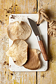 Fresh oyster mushrooms on a chopping board with a knife