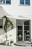 Foliage plants next to French windows on terrace below awning