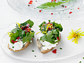 Canapes with ricotta, dandelions and peppers