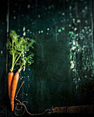 Carrots with tops on a wooden background