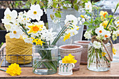 Various types of narcissus in glass vases and mug
