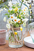 Bouquet of various types of narcissus in glass jar