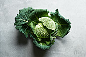 A savoy cabbage on a grey surface