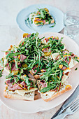 Sandwiches with pastrami, cheese and rocket