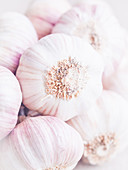 Garlic bulbs (close-up)