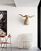 Animal head on white wall above designer armchair