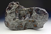 Canyon Diablo meteorite fragment