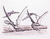 Pterosaur flying reptile fishing technique, illustration