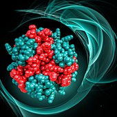 Insulin molecule