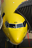 Boeing 737-800 at gate