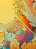 Ammonium nitrate crystals, polarised light micrograph