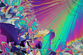 Dopamine crystals, polarised light micrograph