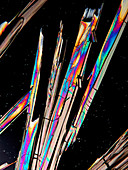 Salicylic acid crystals, polarised light micrograph
