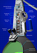 Transmission electron microscope (TEM), illustration
