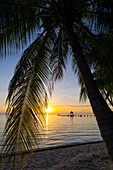 Tropical beach at sunset, French Polynesia