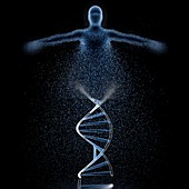 Genetic engineering, conceptual illustration