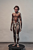 Turkana Boy model