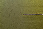 Irrigated field, aerial photograph