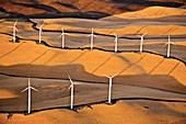 Wind turbines, California, USA, aerial photograph