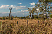 Wind turbine in a field, Texas, USA
