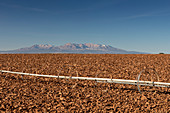 Farm irrigation system and Abajo Mountains, USA