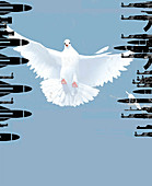 Peace dove, conceptual image