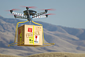 Drone parcel delivery, illustration