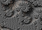 Monochrome fractal, illustration