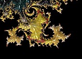 Gold coloured fractal, illustration