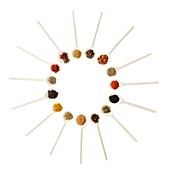 Dried spices on white spoons