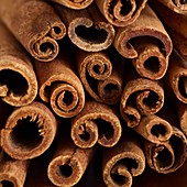 Cinnamon sticks in bundle