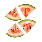 Slices of watermelon