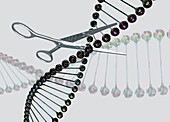 DNA being cut by scissors, illustration