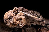 Little Foot Australopithecus fossil