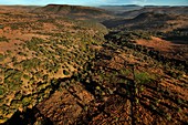 The Cradle of Humankind, South Africa