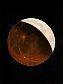 Partial eclipse of the Moon, 19th-century illustration