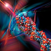 DNA molecular model, illustration