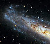 Spiral galaxy NGC 1448, Hubble image