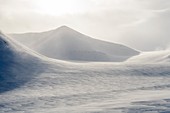 Snowy landscape in Svalbard