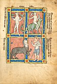 Mythical monstrous races of humans, 13th century